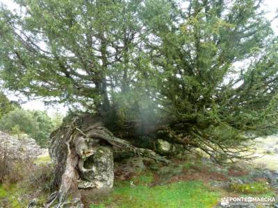 Ciudad Encantada de Tamajón; Almiruete;Retiendas;parque natural de las islas atlanticas actividades